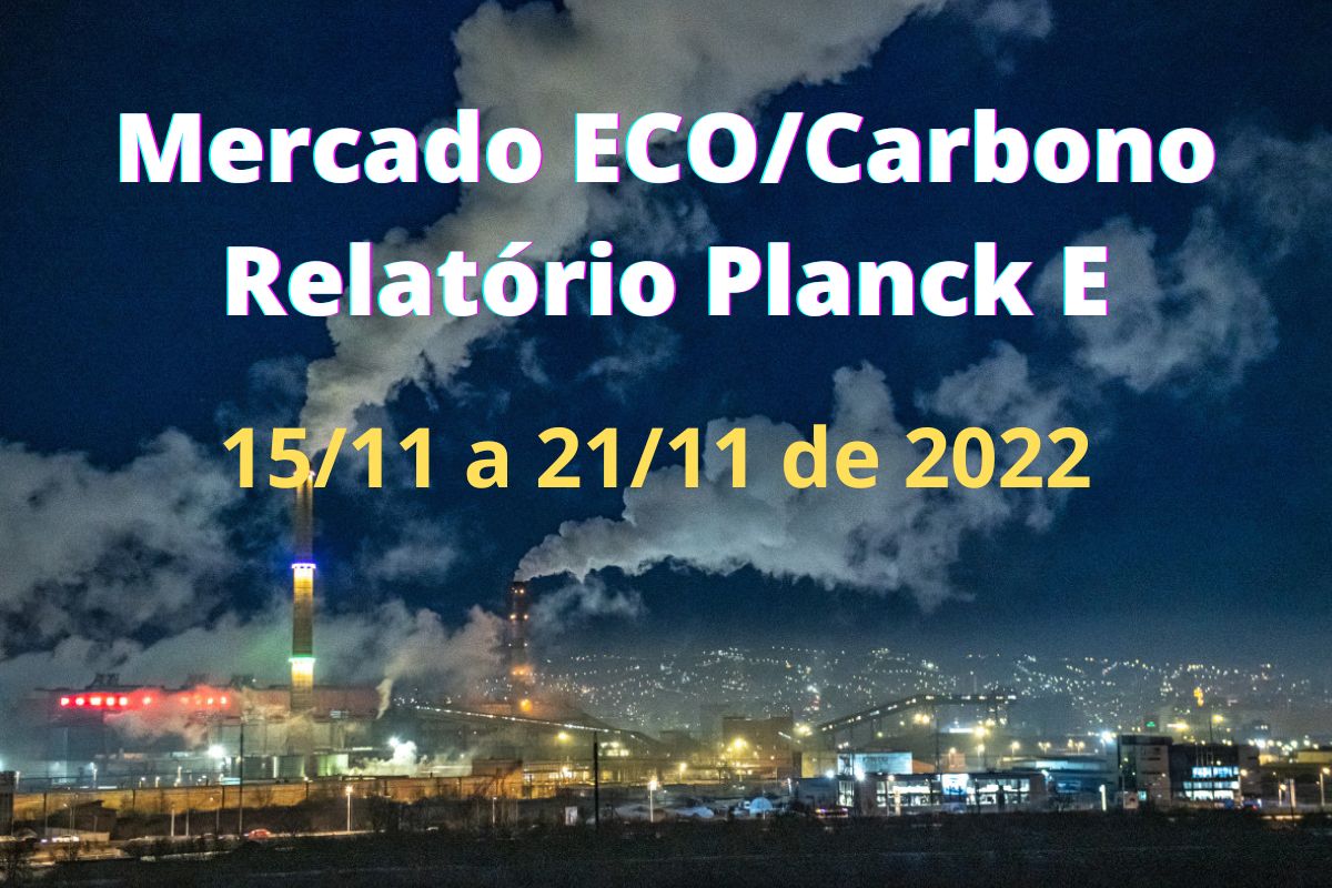 Mercado ECO/Carbono #13/2022