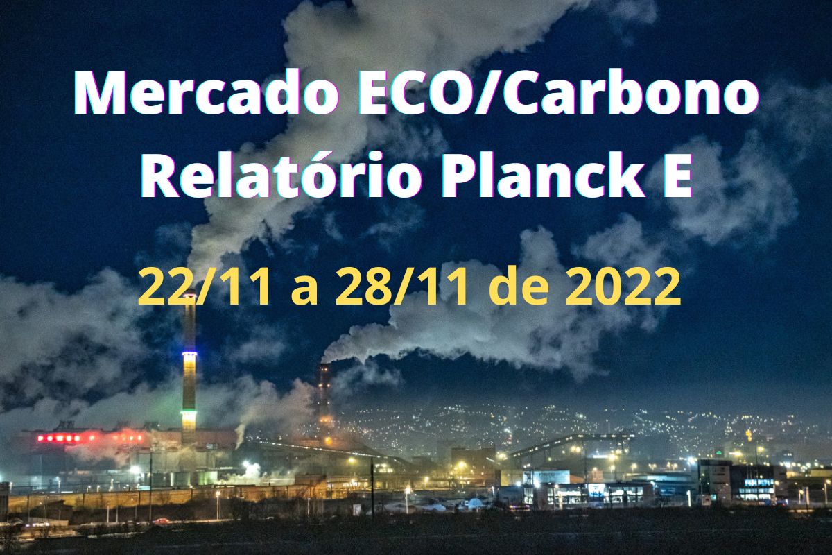 Mercado ECO/Carbono #14/2022