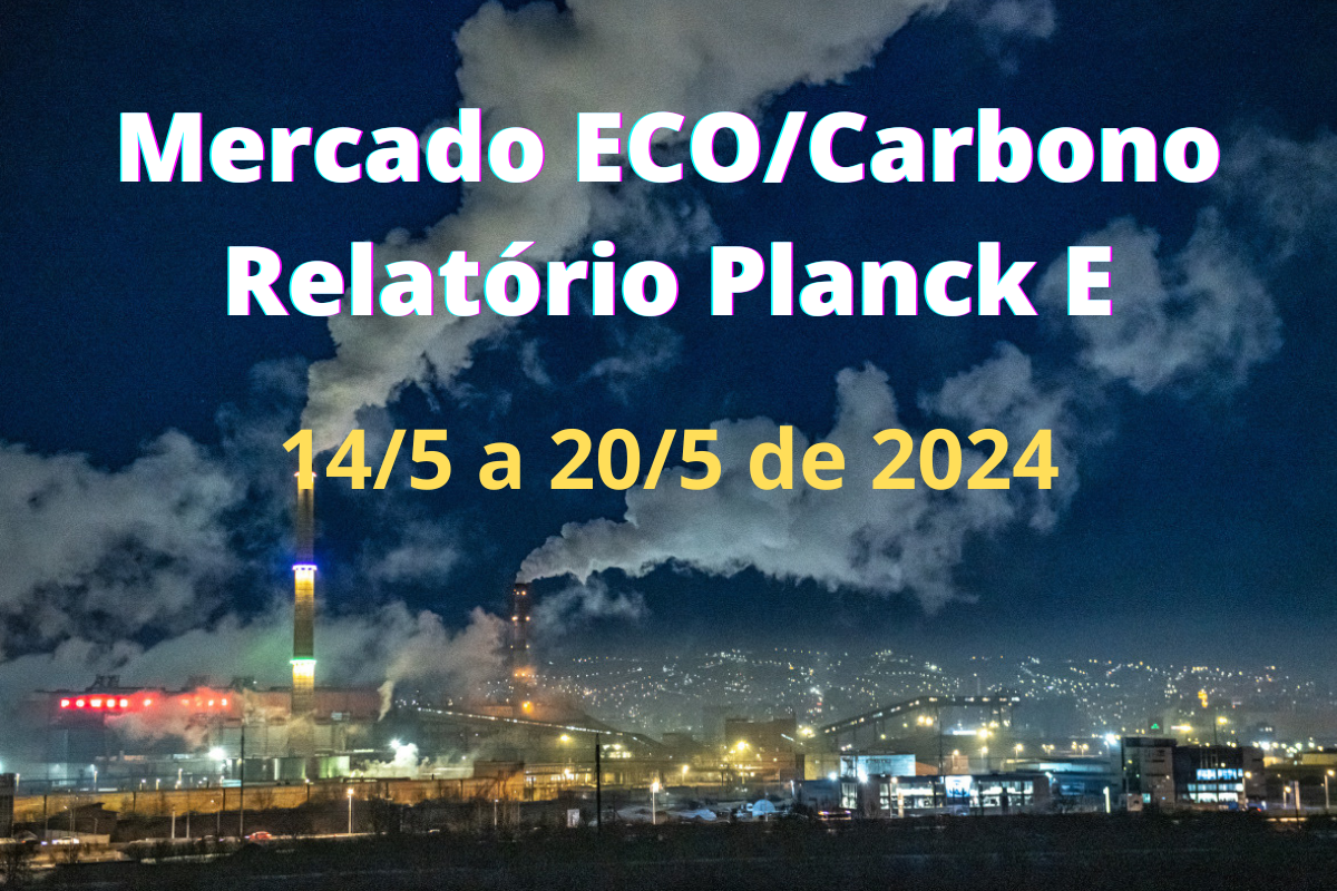 Mercado ECO/Carbono #83/2024