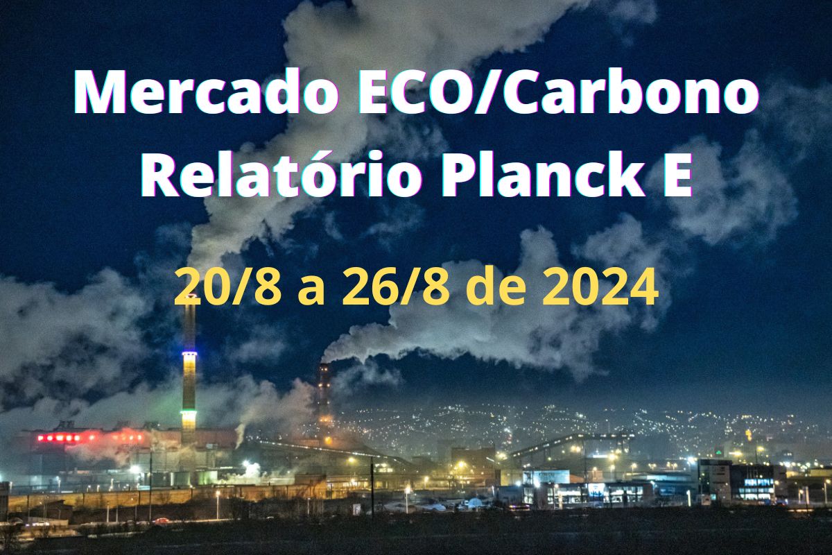 Mercado ECO/Carbono #97/2024